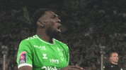 Joie Rage GIF by AS Saint-Étienne