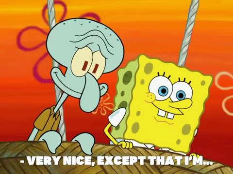 season 8 GIF by SpongeBob SquarePants