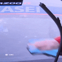 Car Wash Windscreen GIF by FIA World Rally Championship
