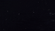 Team Usa Sport GIF by U.S. Ski & Snowboard Team