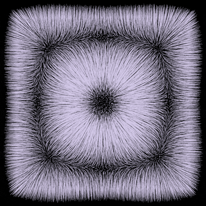 black and white loop GIF by roberthruska