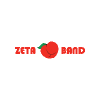 zeyneptamyuksel hiit zeta zetafit zetaband Sticker