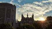 College Campus GIF by Washington University in St. Louis