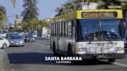 viceland GIF by F*CK, THAT'S DELICIOUS