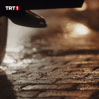Focus On GIF by TRT