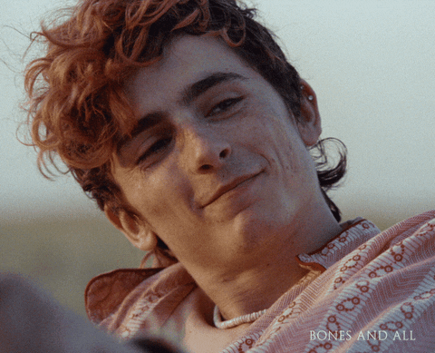 Timothee Chalamet Love GIF by Bones and All