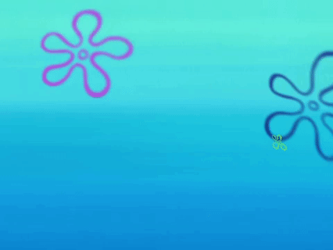 season 6 dear vikings GIF by SpongeBob SquarePants