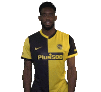 Happy Come On Sticker by BSC Young Boys