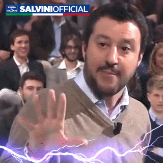 MatteoSalviniFan giphyupload salvini salviniofficial salvinigif GIF