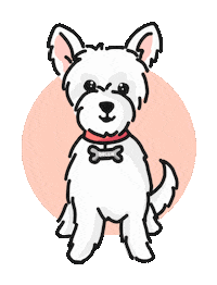 Bellaboo Sticker