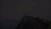 app cryptocurrency GIF