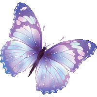 Butterfly Wings Sticker