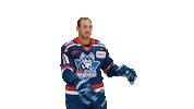 Eishockey Sticker by EC Kassel Huskies