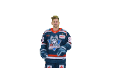 Eishockey Sticker by EC Kassel Huskies