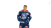 Huskie Sticker by EC Kassel Huskies