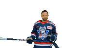 Eishockey Sticker by EC Kassel Huskies