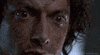 jeff goldblum GIF by foxhorror