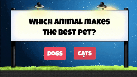 elementari giphyupload GIF