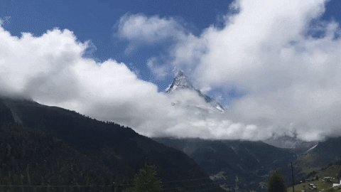 Londynka giphyupload GIF