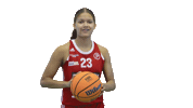 Basketball Hoops Sticker by Basket_fi