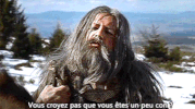 kaamelott GIF