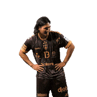 Celebration Handball Sticker by USDK