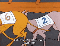 Season 1 GIF by The Simpsons