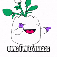 Cracking Up Lol GIF by Magic Eden