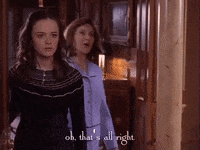 season 3 netflix GIF by Gilmore Girls 