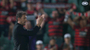 wswanderersfc reaction football celebration goal GIF
