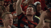 wswanderersfc reaction football celebration goal GIF