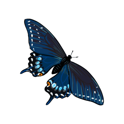 Butterfly Sticker by GreenStalk Garden