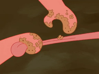 season 5 000 patties under the sea GIF by SpongeBob SquarePants