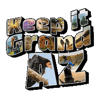 Camping Climate Change Sticker by INTO ACTION