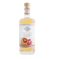 21SEEDSInfusedTequila tequila women empowerment 21 seeds 21seeds Sticker