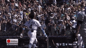 Seattle Mariners Win GIF by ROOT SPORTS