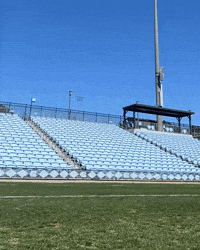 Dogs Bandana GIF by UNC Tar Heels