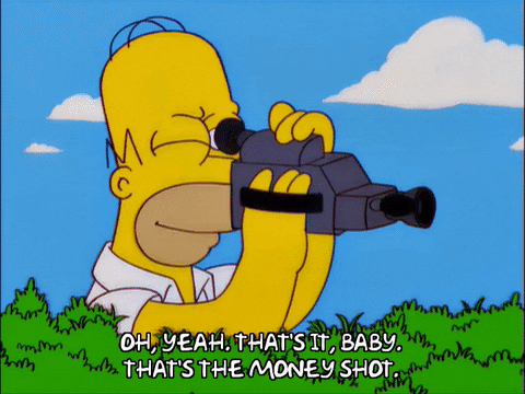 homer simpson GIF
