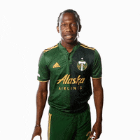 Portland Timbers Hello GIF by Timbers