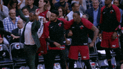 Lets Go Basketball GIF by NBA