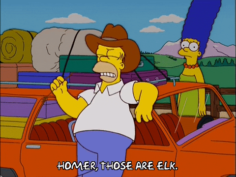 talking homer simpson GIF