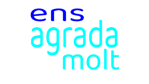 Elpastador giphyupload like catala magrada Sticker