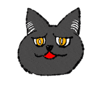 Cat Sticker