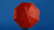 GIF by tot Ou tard