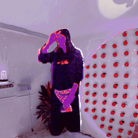 haunting miami beach GIF