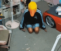 Bird Eating GIF