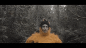 Run Bee GIF by The Head And The Heart