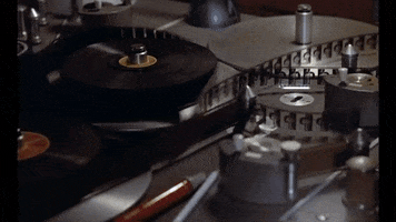 GIF by Film School Shorts