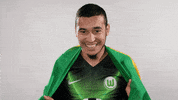 Soccer Bundesliga GIF by VfL Wolfsburg