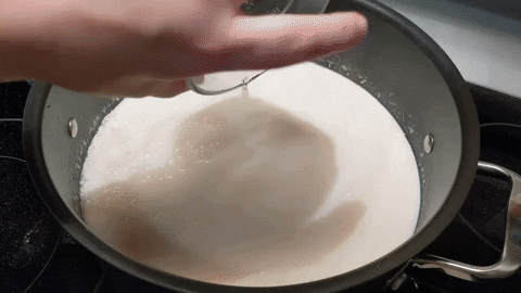 Ourwrensnest giphygifmaker GIF